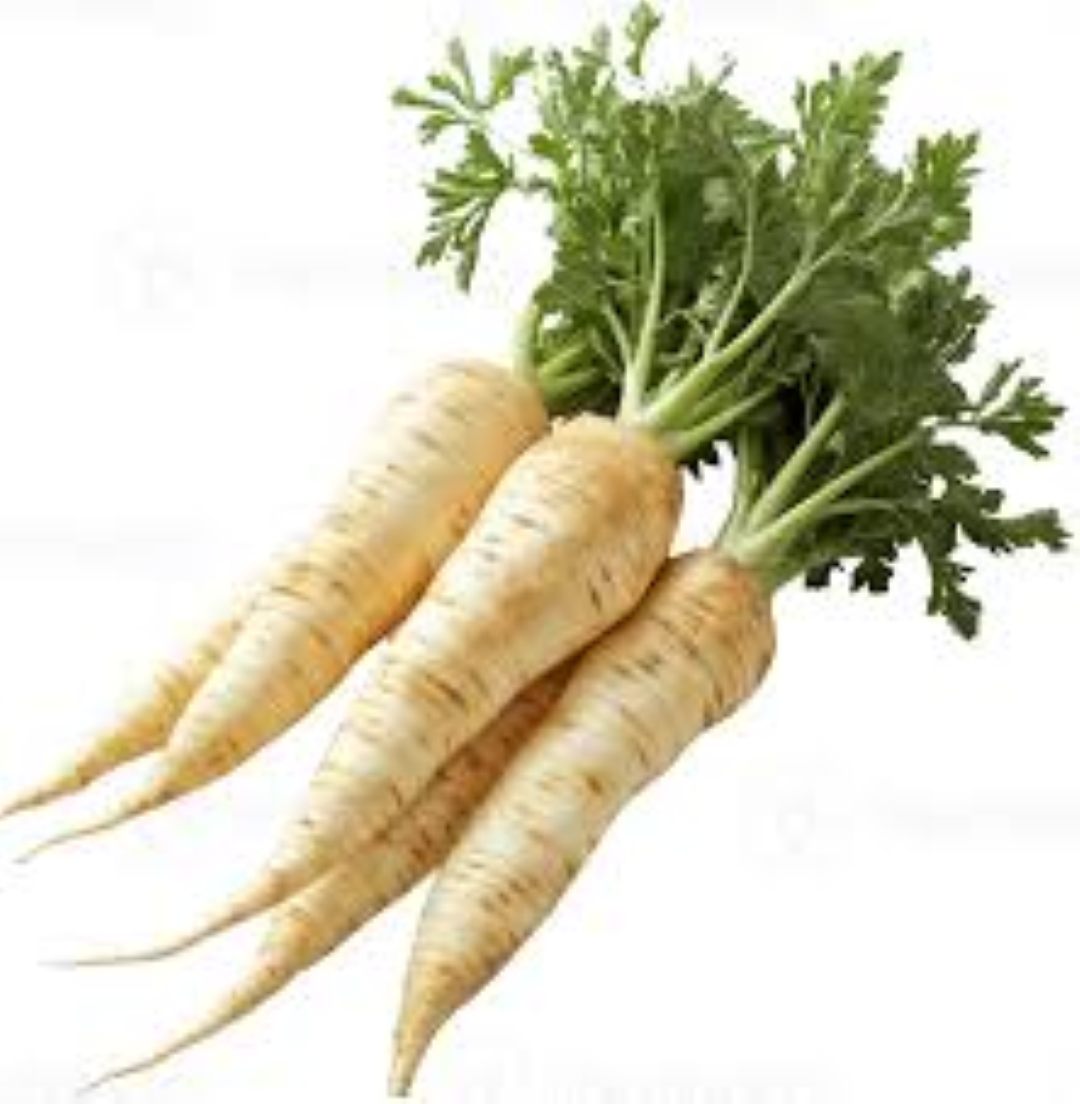 FRESH PARSNIPS